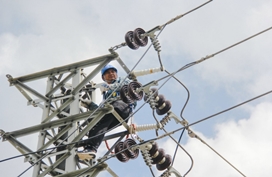 Causes of Common Faults in Transmission Lines